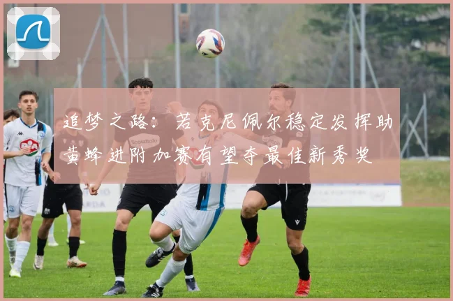 追梦之路：若克尼佩尔稳定发挥助黄蜂进附加赛有望夺最佳新秀奖