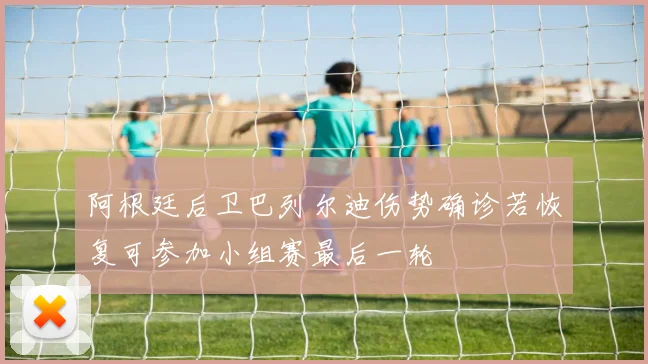 阿根廷后卫巴列尔迪伤势确诊若恢复可参加小组赛最后一轮